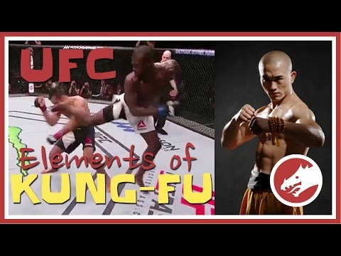 Kung Fu in UFC (MUST WATCH!)