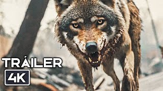 COYOTES: TERROR EN LA CIUDAD Tráiler Oficial Español Trailer