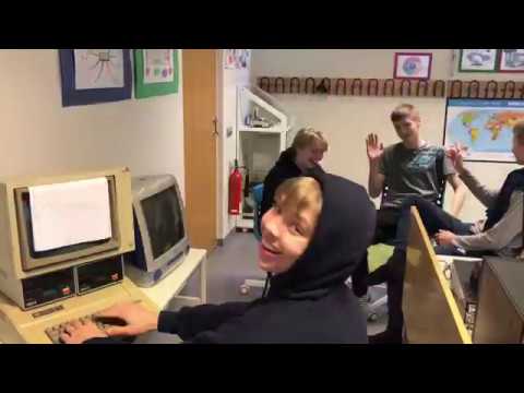 Kanínur í bala að borða gras