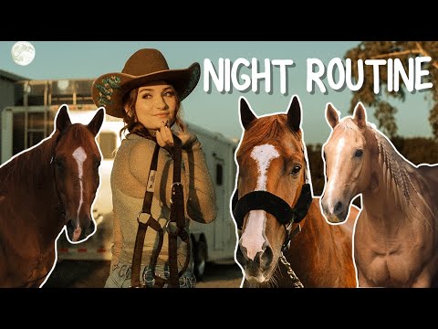 NIGHT ROUTINE as an EQUESTRIAN! WINTER ROUTINE!