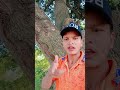 Namariya Kamariya Me Khos Deb SAMAR SINGH Shilpi Raj Akanksha Dubey WorldwideRecordsBhojpuri