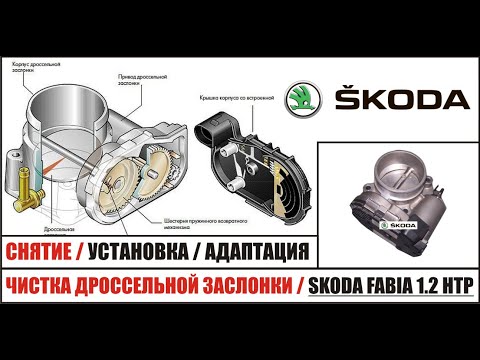 Адаптация дроссельной заслонки шкода рапид