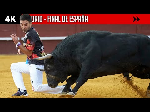 MADRID ▪ FINAL DE ESPAÑA DE RECORTE LIBRE CON TOROS 2021
