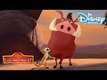 De Leeuwenwacht | Liedjes van de Savanne| Disney Channel NL