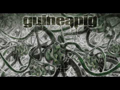 Guineapig - Bacteria (2014)  [Full Album]