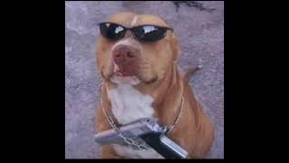 Umut Timur Ft Can Yüce Gönül Koyma