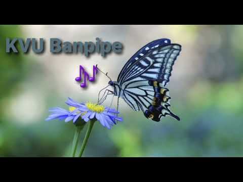 KVU Banpipe _Ronie_Isabel Province_Solomon Islands.