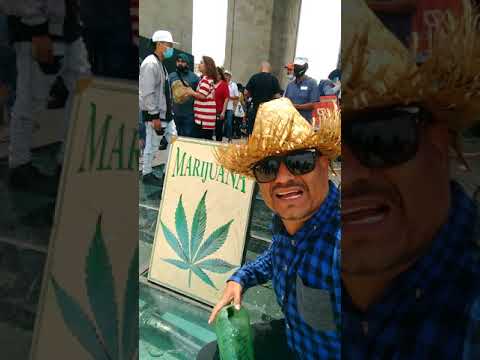 la 4:20 en el monumento ala revolución día dela marihuana