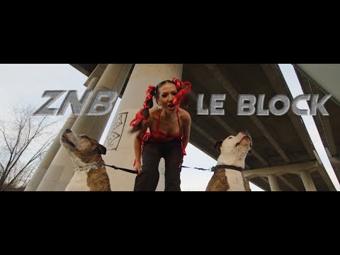 ZNB - LE BLOCK (Official Video)