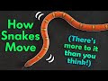 How Snakes Move They Don T Just Slither