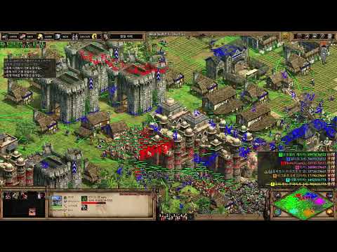 AOE2:DE Custom Game 217