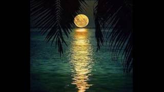 Custer's Last Band - I Dig Your Act