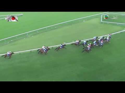 2019秋季天皇賞 2019 Tenno Sho Autumn G1