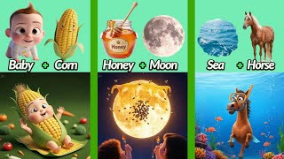 Literal vs Real Life Meaning in English Compound Words