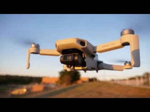 DJSeeBass and DJSeeBass - Music