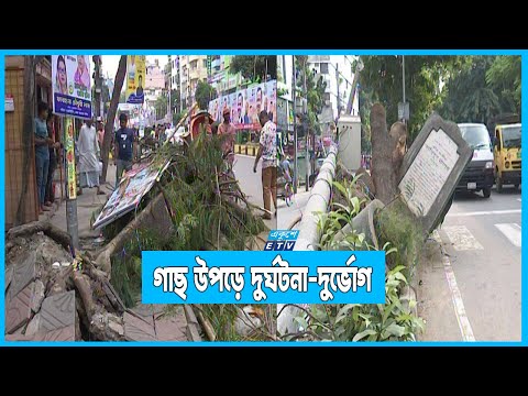 ভাঙছে গাছ মরছে মানুষ