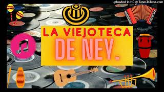 No es un Go Go-  Michi Sarmiento y su Combo Bravo