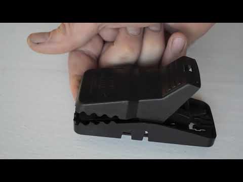 Trapper Mini-REX Mouse Trap In Action. Full Review