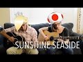 Super Mario 3D World Sunshine Seaside Acoustic Cover