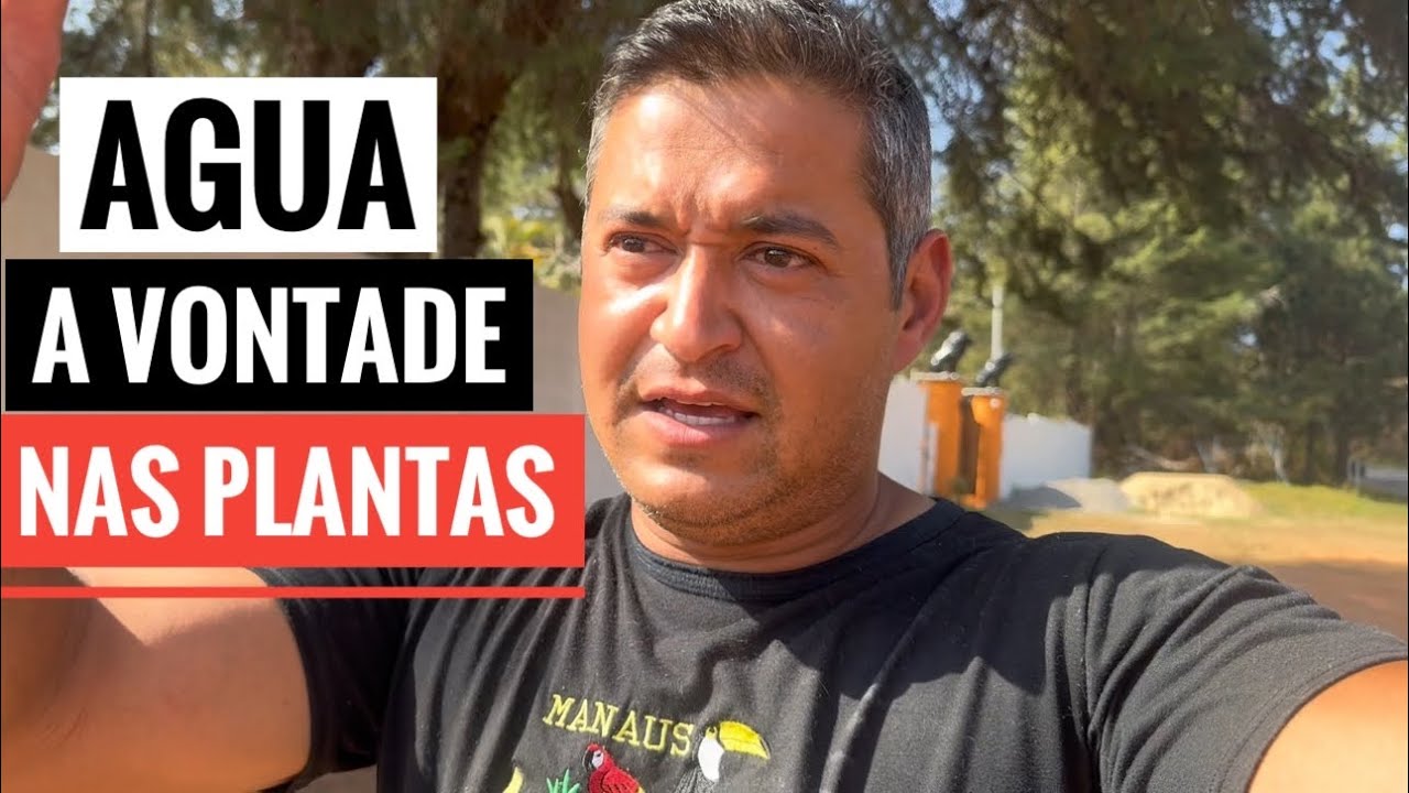 DICA MUITO LEGAL PARA CUIDAR DO SEU JARDIM. ZERO TRABALHO.