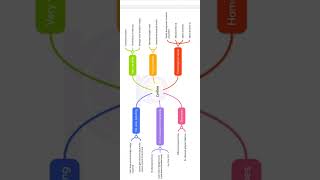 CARBON AND ITS COMPOUNDS //MIND MAP //Revision in 5 mins/TERM 2//