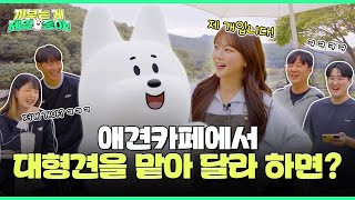 애견카페에 ‘대형견’ 맡아달라 했을 때 시민들 반응 ㅋㅋㅋ | 까부는게 제일 좋아 EP.08