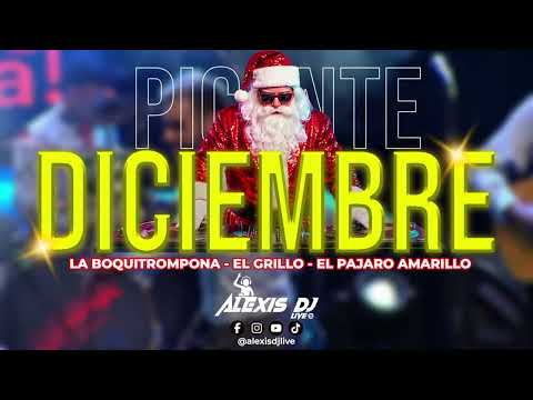 Mix Diciembre Picante | La Boquitrompona - El Grillo - El Pajaro Amarillo | Alexis Dj Live