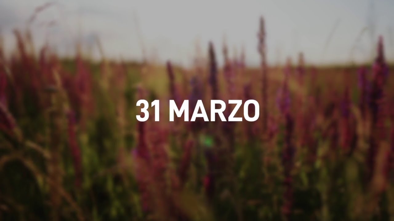 31 Marzo 2025 | Meditazione Parole di Vita