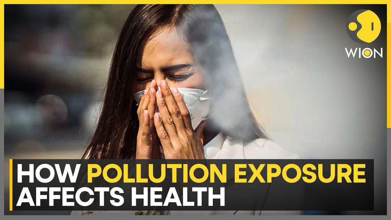 How Long Term Pollution Exposure Affects Health | WION