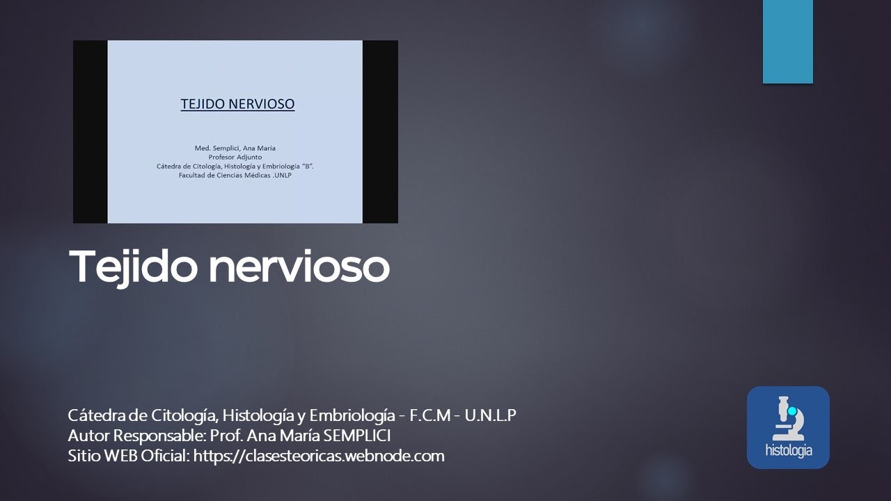 TEJIDO NERVIOSO
