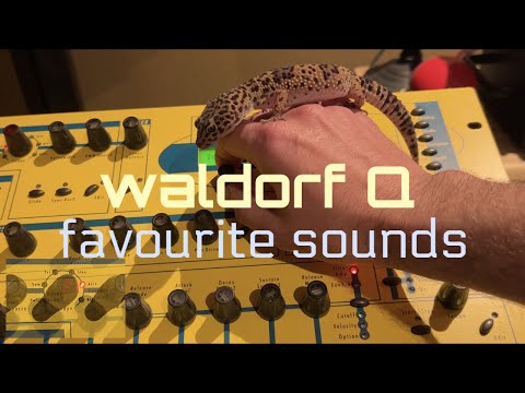 Free Download NiceBeats SynthLine Vol.14 Waldorf Q AKAi WAV