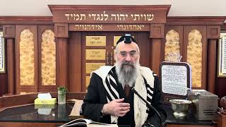 שיטות שונות באורך התקיעות (הרב יצחק ישראלי) - התמונה מוצגת ישירות מתוך אתר האינטרנט יוטיוב. זכויות היוצרים בתמונה שייכות ליוצרה. קישור קרדיט למקור התוכן נמצא בתוך דף הסרטון