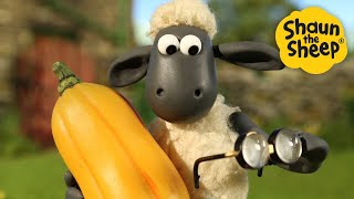 Autumn Harvest🐑 Shaun the Sheep 🐑 - Cartoons for Kids 🐑 Full Episodes Compilation [1 hour]