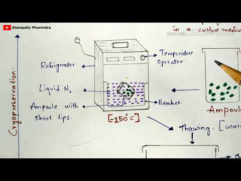 Plant tissue culture technique Step by step process Procedure Bio science