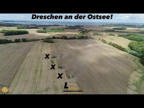 Dreschen an der Ostsee! 3 Großmähdrescher - John Deere X9 1100 &  Claas 8900 Lexion XXXL Rapsernte