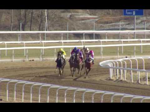 Lopp 7, 5 april 2017