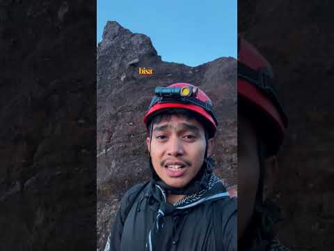 Gambar Powerlite Senter Kepala Swivel Dengan Klip & Magnet - Hitam
