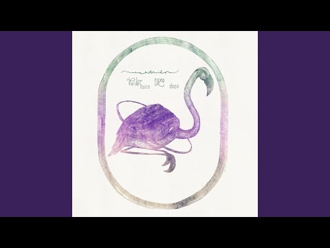 Um Planeta - Musa Híbrida