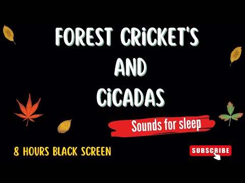 Mother Nature Sounds - Crickets and Cicadas in Forest - 8 Hours Black Screen for Sleep