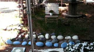 sad eyed lady with chickens