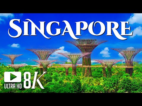 Singapore 8K - Relaxing Music Along With Beautiful Nature Videos - 8K Video Ultra HD