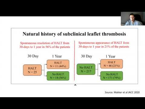 Sponsored symposium - HALT-CT Core Lab lessons learned and outstanding questions