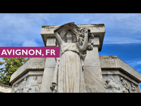 The Papal Palace and Broken Bridge of Avignon, FRANCE
