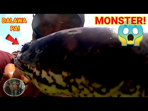 JACKPOT NA NAMAN, NAKAHULI PA NG DALAWANG MONSTER! SPEARFISHING/ PAGPAPANA SA ILOG