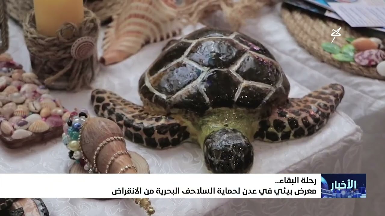 رحلة البقاء ..  معرض بيئي في عدن لحماية السلاحف البحرية من الانقراض