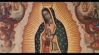 ROSAS DE AMOR | ALELUYA GUADALUPANO | Vers. Estudiantina | 12 DE DICIEMBRE | Divina Misericordia TV