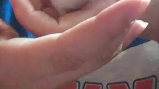 Hamster constantly clicking. Could it be respiratory infection
