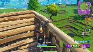 キウイのfortnite実況