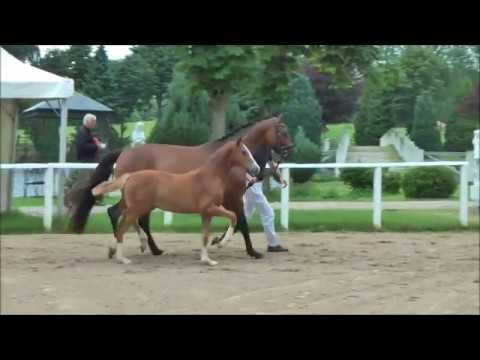 49 -  Miss Winterbottom