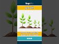 growth - the process of getting bigger... video thumbnail